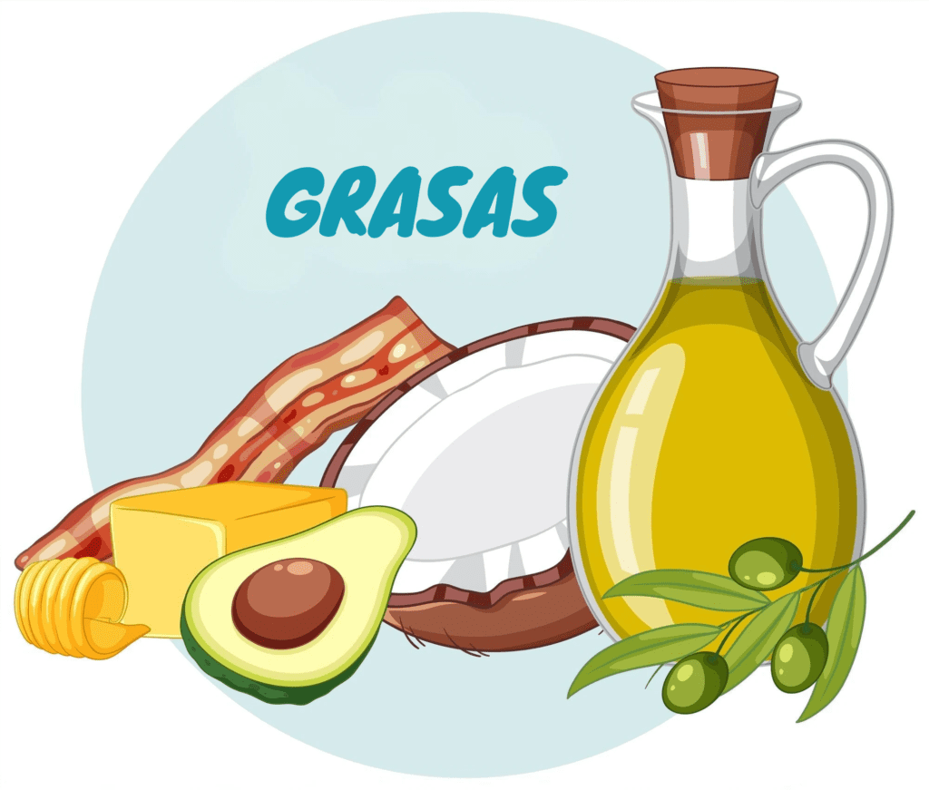 GRASAS-1024x871 Claves para una Alimentación Balanceada y Saludable Eficaz